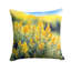Coussin Nebraska-114457441