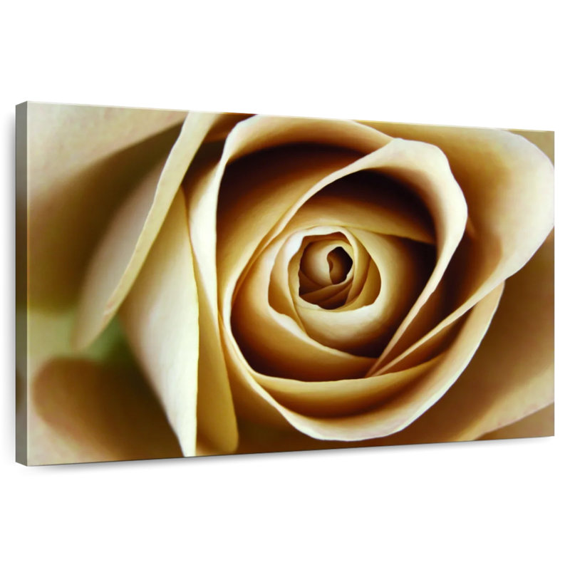 Rose Harnek en herbe beige, H 16 po x l 24 po