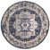 Balaton Performance Oriental Rug