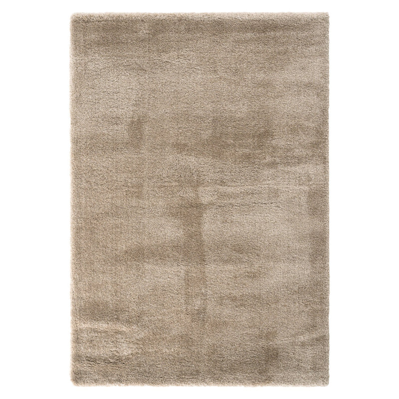 Rhodella Solid Colour Machine Made Indoor / Outdoor Area Rug, Rectangle 3'3" x 4'11"