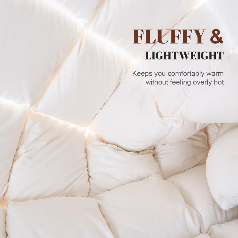 All Season Luxury White Down Blend Comforter Soft Duvet Insert Queen Size 90X90, Queen