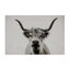 Calm bovins, toile par Dakota Diener-1623353857