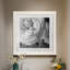 Renoncule foncé II - cadre photo-997390529-997338827-997338869