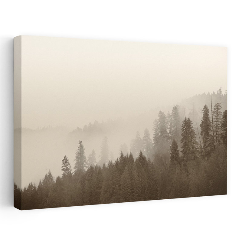 Art intemporel, forêt, nature, photographie, monochrome, H 24 po x l 16 po