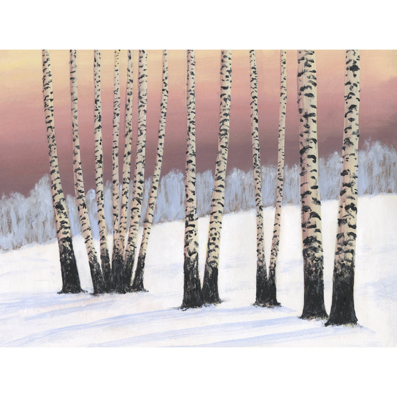 Birch Stand II by Michael Willett - Wrapped Canvas Print, 81 cm H x 122 cm W