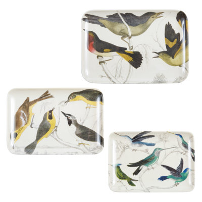 Ensemble de plateaux d'ornithologie
