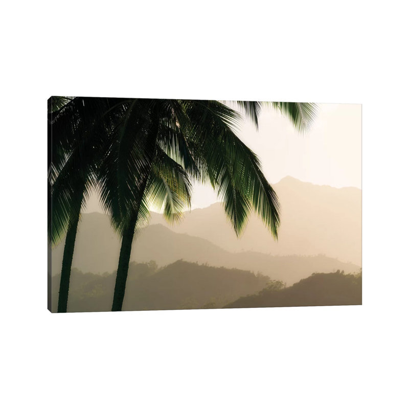Palm Hills by Dennis Frates - Wrapped Canvas Print, 45.72cm H x 66.04cm W x 3.81cm D