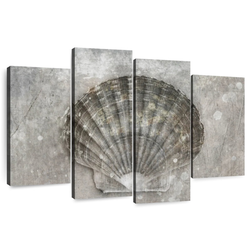Aletra BW Scallop Seashell, 22'' H x 36'' W