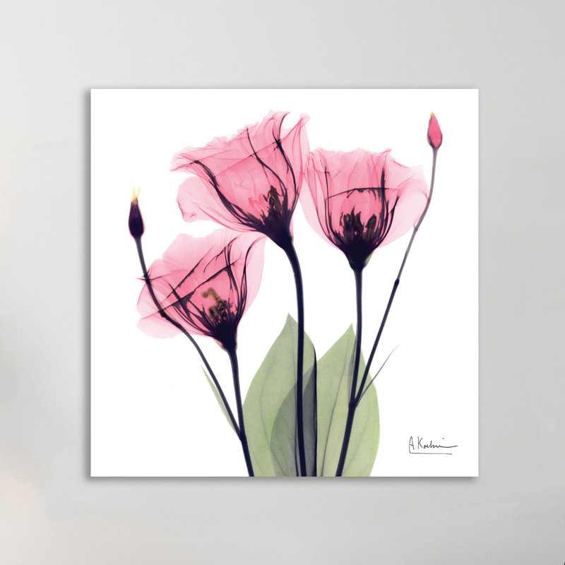 Gentian Faith - Wrapped Canvas Print, 30 cm H x 30 cm W