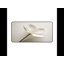 Polyester Desk Pad-1147915079