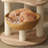 5-Tiers Cat Tree with Cat Condons,Perch,Scratching Posts