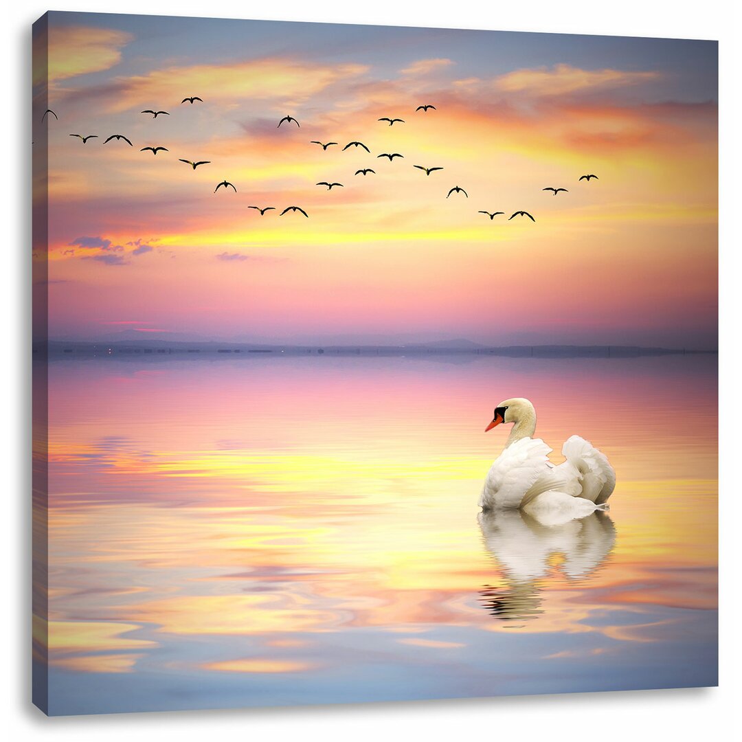 Leinwandbild Schwan bei Sonnenuntergang