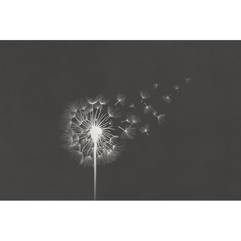 White Dandelion by Francescoch - Wrapped Canvas Print, 30cm H x 46cm W