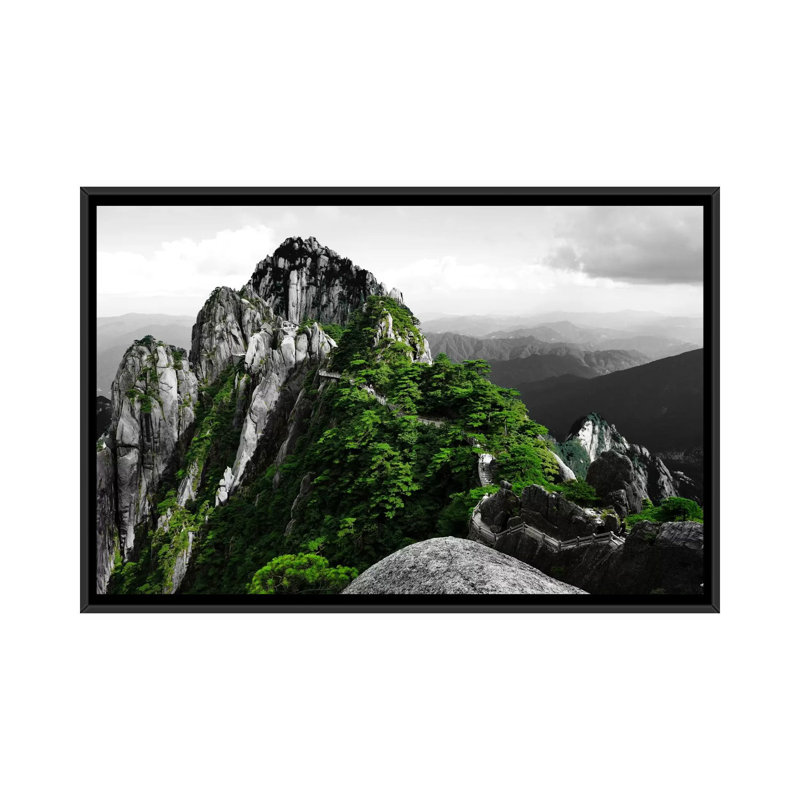 «Pure Plan», reproduction de photo sur toile, H 18 po x l 26 po x P 1,5 po, Toile encadrée noire, Pas de tapis