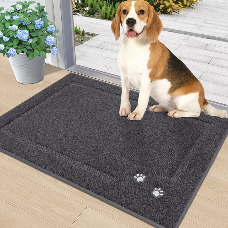 Non-Slip Indoor Doormat, 50.8cm W x 81.3cm L, Dark Grey