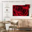 Rosée rouge veloutée-947423777-947423779