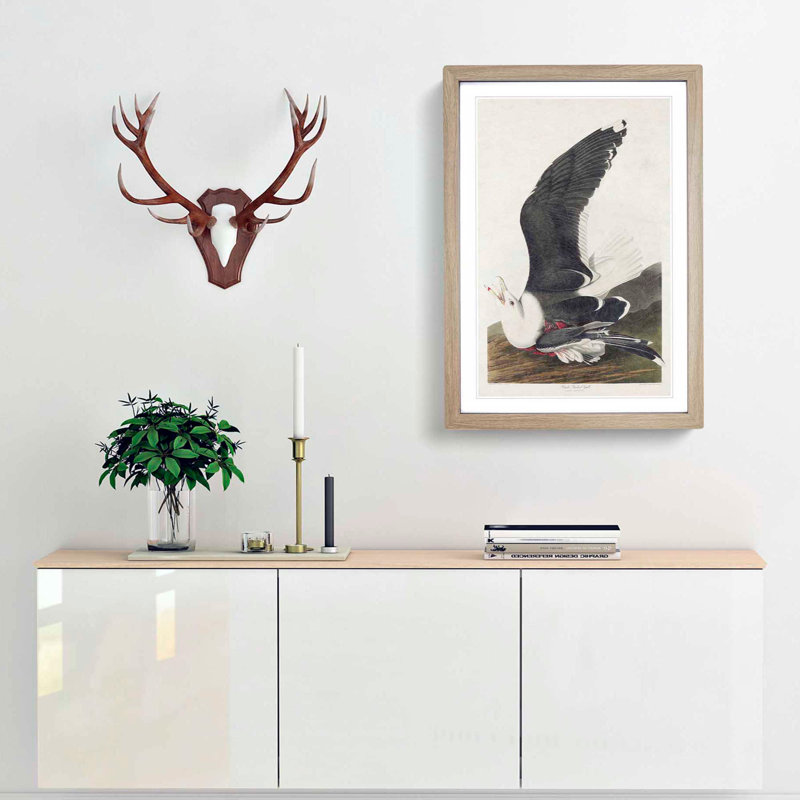 Black-Backed Gull by John James Audubon - Picture Frame Art Print, 48cm H x 36cm W x 2cm D, Oak Framed