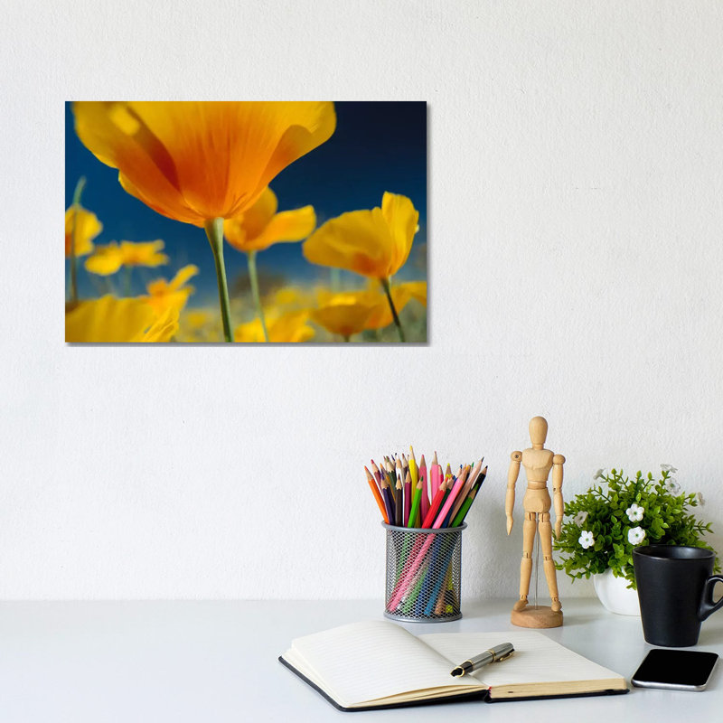Mexican Golden Poppy, New Mexico by Tim Fitzharris - No Frame Gallery-Wrapped Canvas Giclée on Canvas, 20.32cm H x 30.48cm W