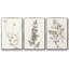 Neutral Botanical Study IV 3 pièces-97711581-97711582