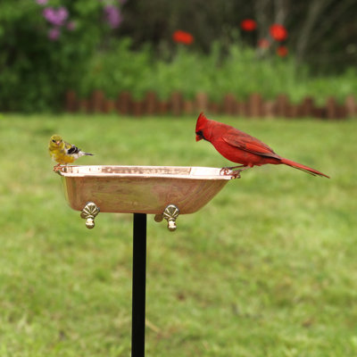 Brander Metal Single Tier Birdbath