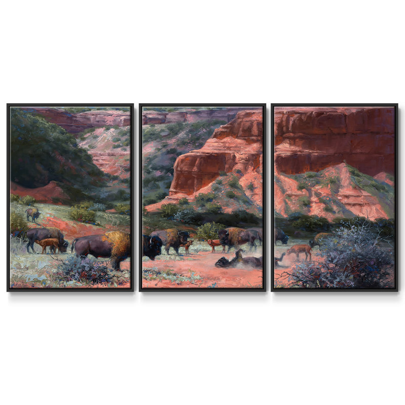 Caprock Canyon - Toile encadrée multi-pièces, Cadre noir, H 36 po x l 75 po