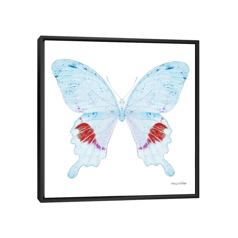 « miss papillon x-ray xxii », impression sur toile, H 18 po x l 18 po x P 1,5 po, Toile avec cadre noir