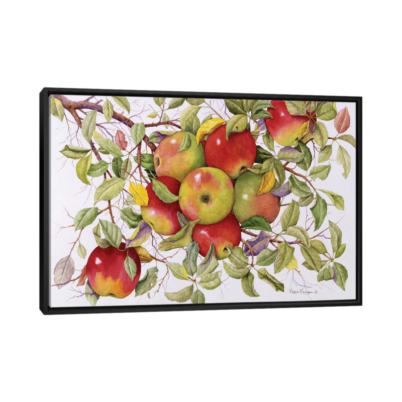 " Apples " by Marcia Matcham, 18" H x 26" W x 1.5" D, Black Framed Canvas, No Mat