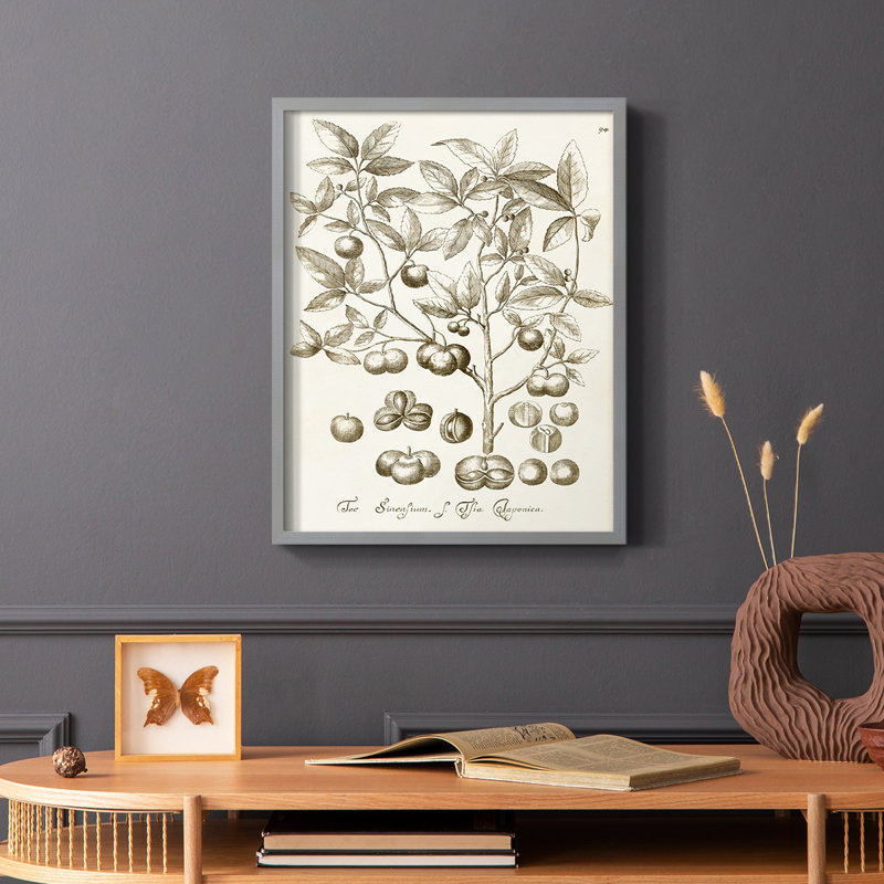 «Sepia Botanical Journal II», reproduction encadrée - bois massif, Gris, H 10 po x l 8 po
