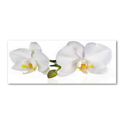 Orchid - Wrapped Canvas Print
