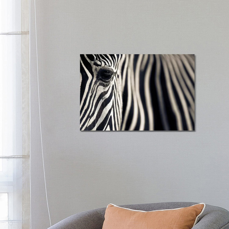 Eye And Stripes by Mario Moreno - Wrapped Canvas Print, 66.04 cm H x 45.72 cm W x 1.91 cm D