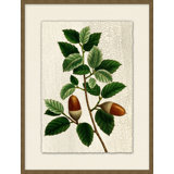 Acorn 5 Painting