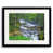 Black Framed Paper selected