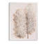 «Pampas Grass III» par Paul Cezanne, reproduction d'art sur toile encadrée-1390671114-1390671223