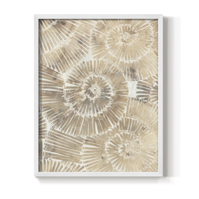 Fossil Nautilus II, reproduction encadrée - bois massif, H 30 po x l 24 po, Blanc