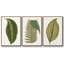 " Collected Leaves I " 3 - Pieces-97754133-97754134