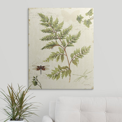 Ivies And Ferns " Ivies And Ferns I " by Lisa Audit