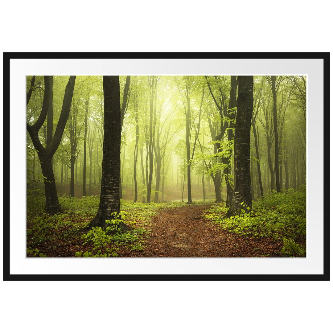 Gerahmtes Poster Weg im Wald