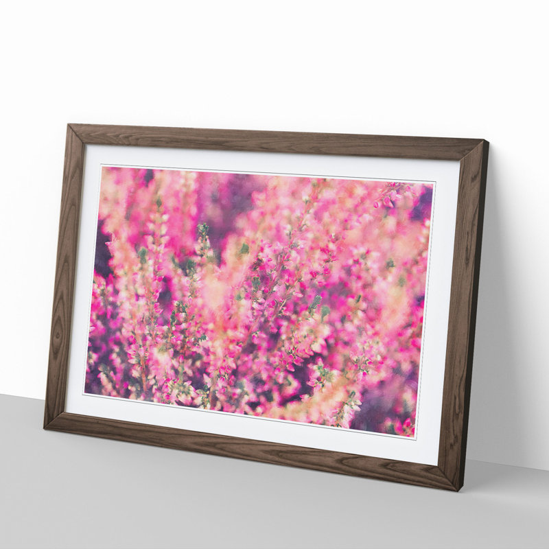 Pink Heather - Picture Frame Graphic Art, 27cm H x 36cm W x 2cm D, Walnut Framed