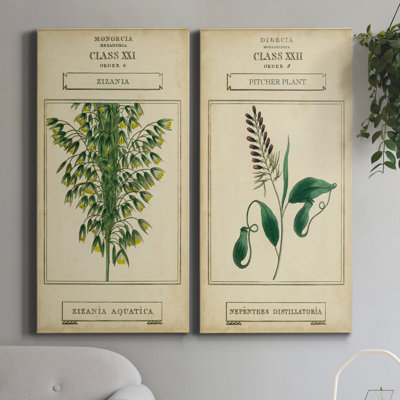 Linnaean Botany I - ensemble de 2 peintures sur toile tendue