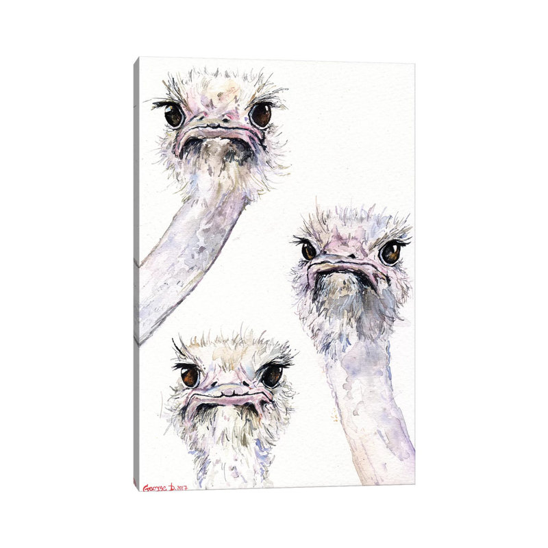 Ostriches by George Dyachenko - Wrapped Canvas Print, 30.48 cm H x 45.72 cm W