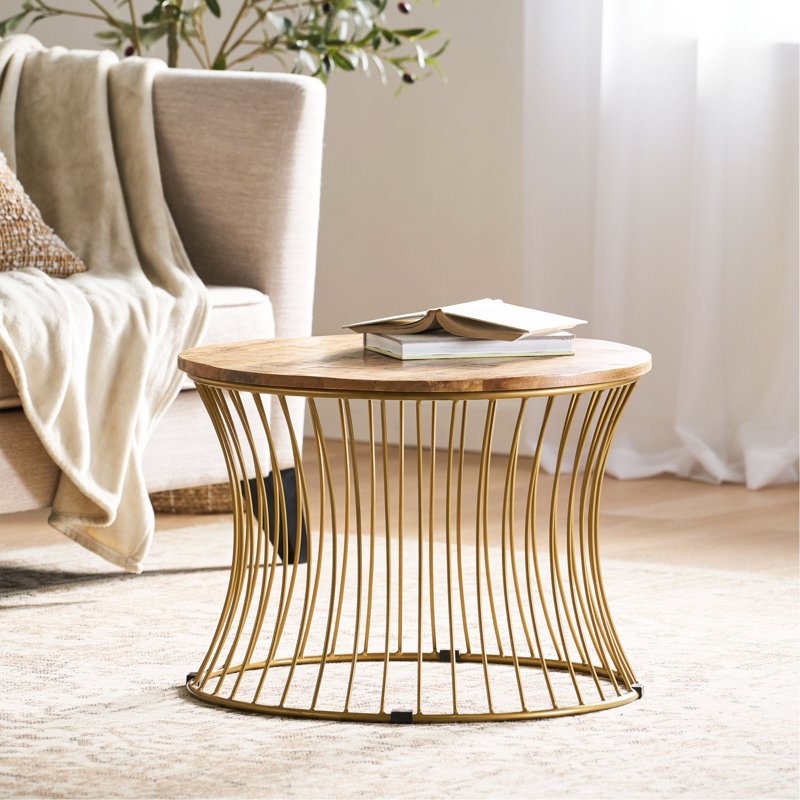 Natural Mango Wood and Gold Round Coffee Table with Storage