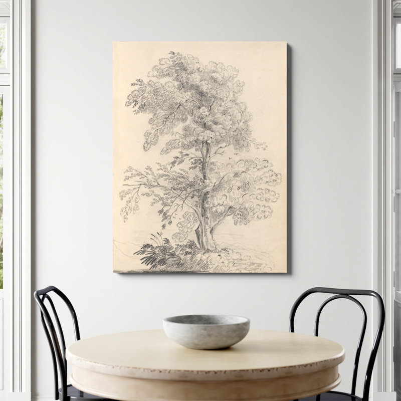 «Tree Sketch» par Wild Apple, Non, H 48 po x l 36 po, Toile tendue