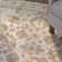 Ivan Wool Oriental Indoor Rug