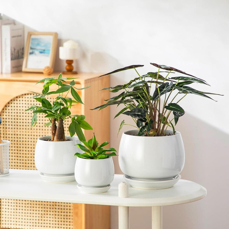 Planter, White