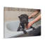 Cute French Bulldog Bath Canvas Wall Art-1530826684