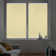 Cordess Light Filtering Cellular Shades