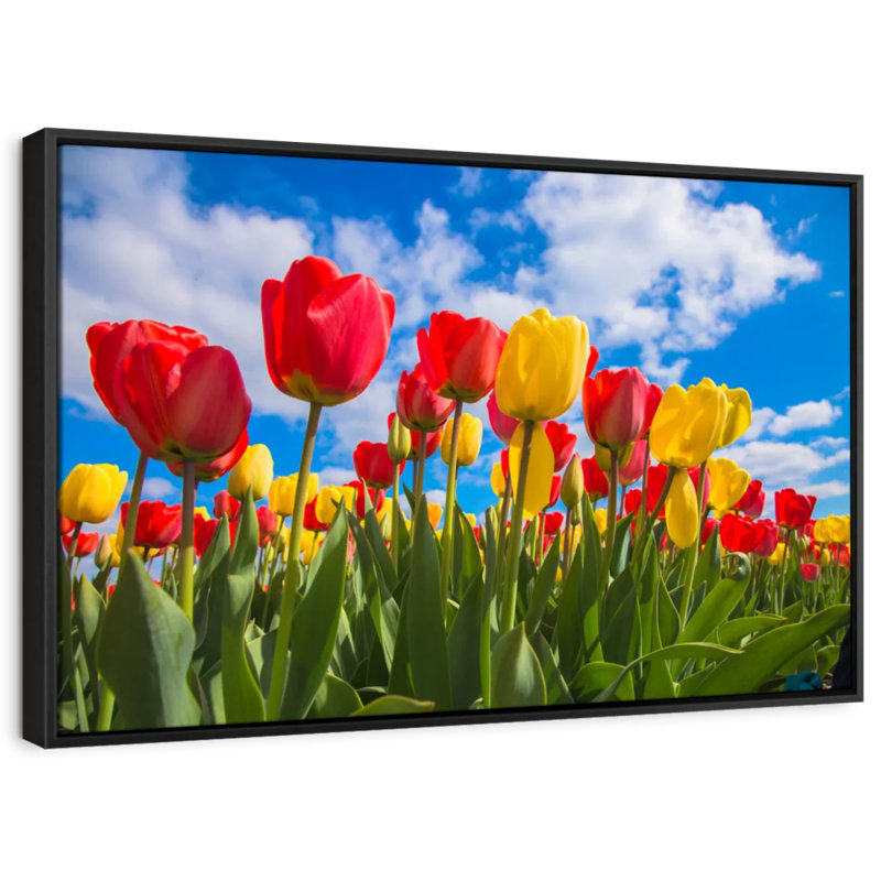 Impression sur toile Spring Spring, H 9 po x l 13 po