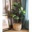 Arbre de figues artificiel en pot-128190450