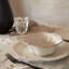 Stoneware Dinner Plate