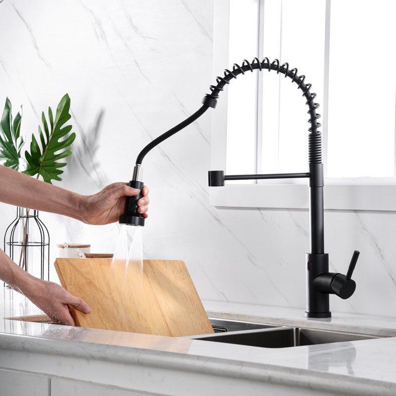 Tête de robinet de cuisine rétractable à 3 fonctions avec 11 adaptateurs, Noir